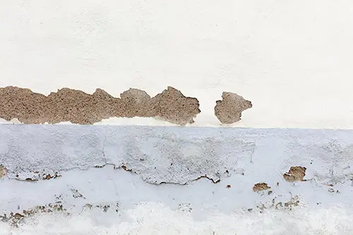 گچ کشته چیست؟