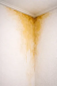 زرد شدن گچ دیوار