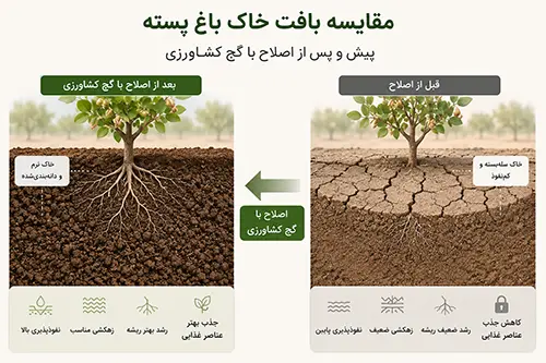 مقایسه بافت خاک باغ پسته پیش و پس از اصلاح با گچ کشاورزی