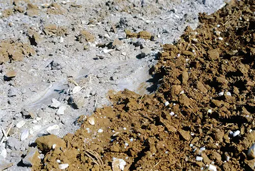 اصلاح خاک شور و سدیمی با گچ کشاورزی