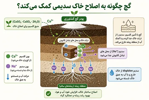 اثر گچ در خاک
